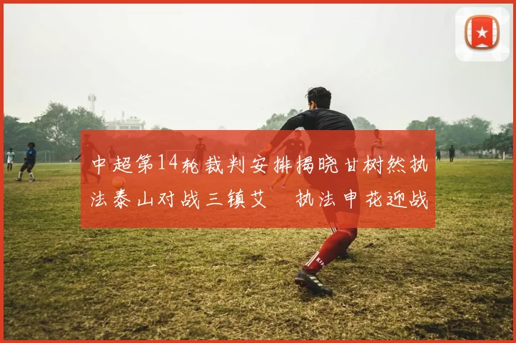 中超第14轮裁判安排揭晓甘树然执法泰山对战三镇艾堃执法申花迎战新鹏城